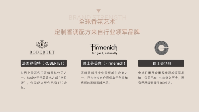 Storymix品牌手册.pdf