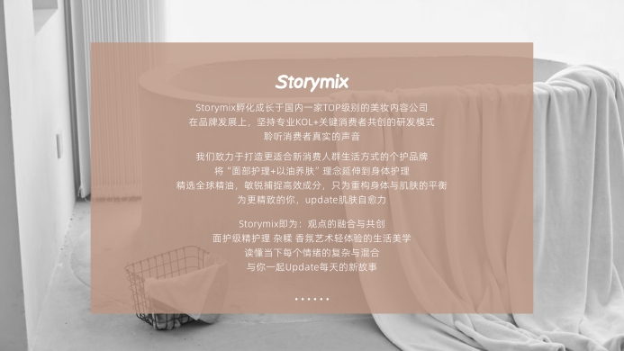 Storymix品牌手册.pdf