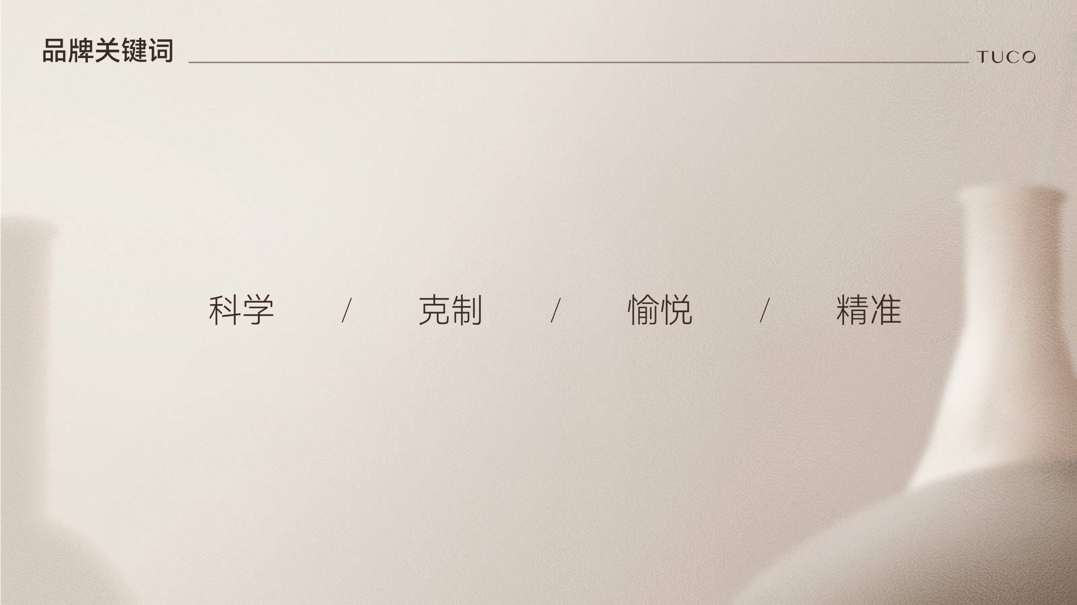 TUCO品牌手册20240513.pdf