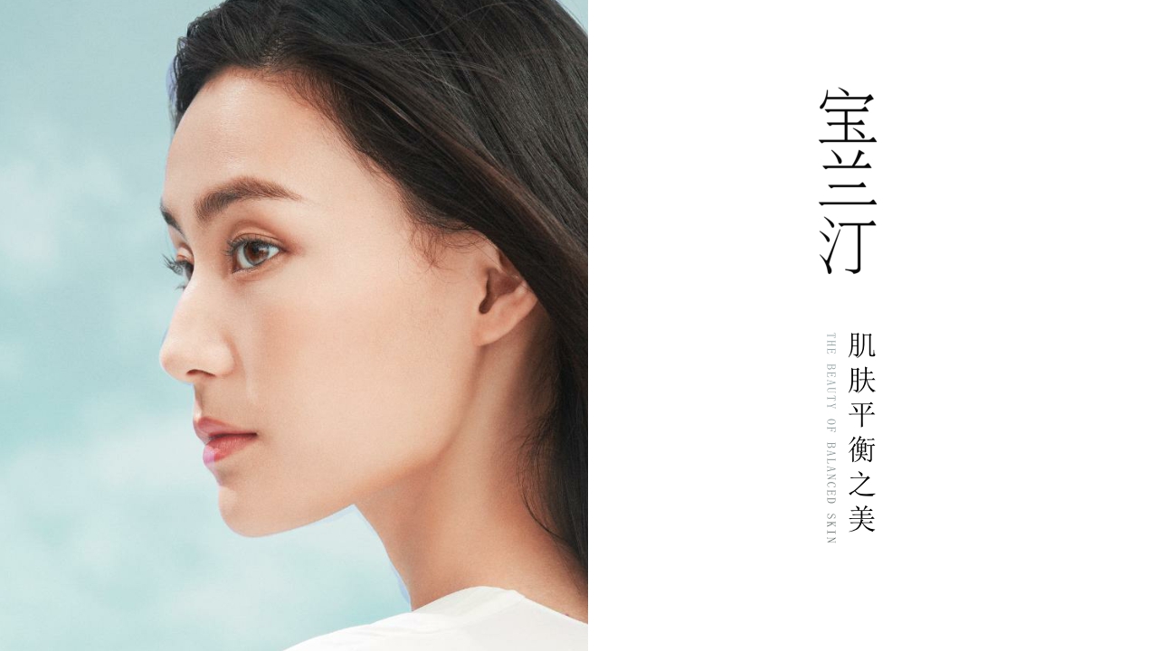 宝兰汀品牌介绍.pdf