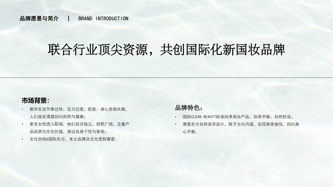 宝兰汀品牌介绍.pdf