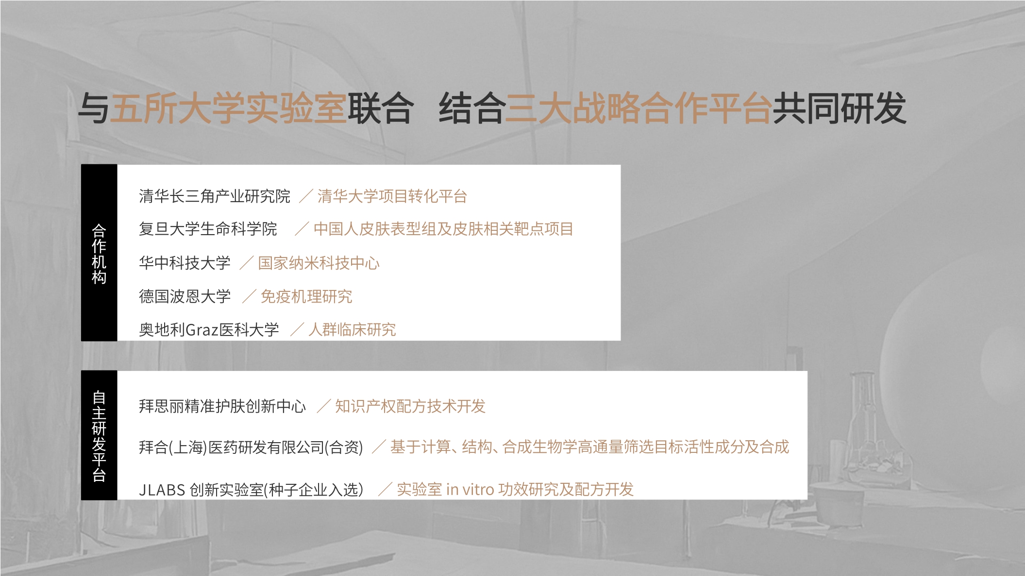 第十四章Brand Book.pdf