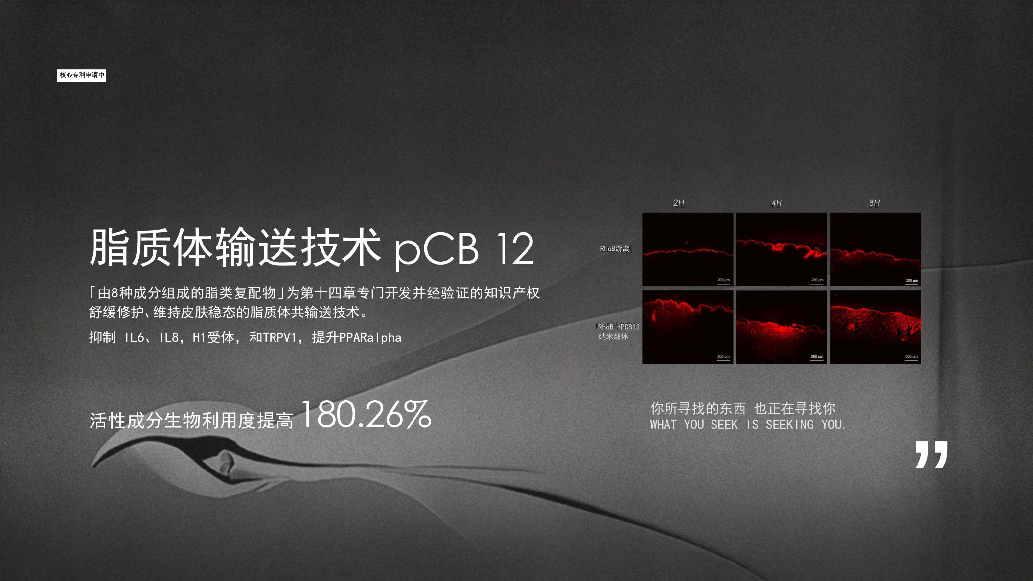 第十四章Brand Book.pdf