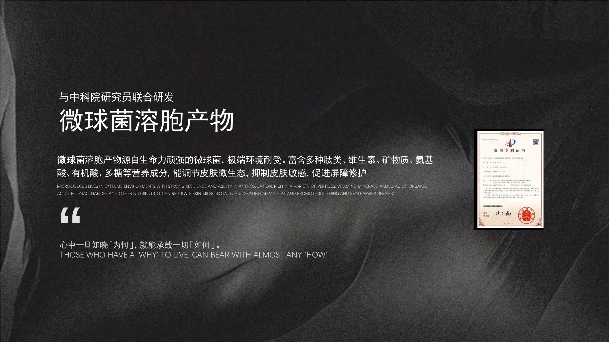 第十四章Brand Book.pdf