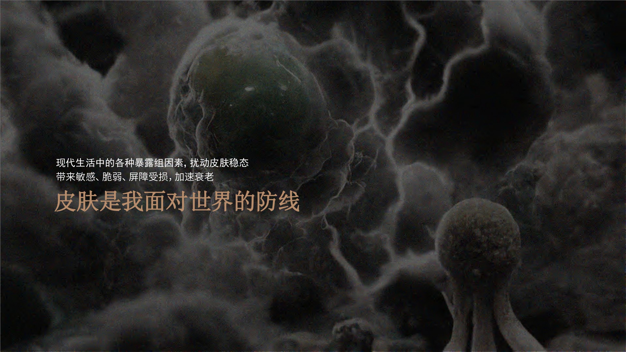 第十四章Brand Book.pdf