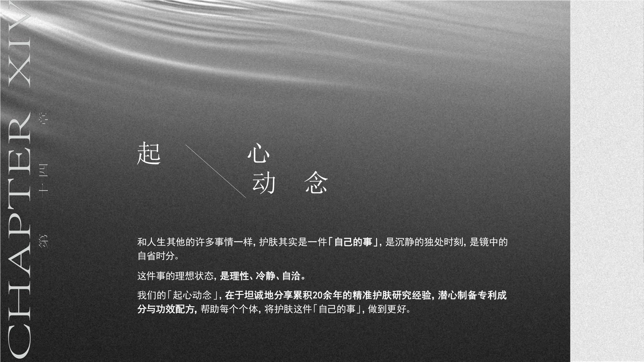 第十四章Brand Book.pdf