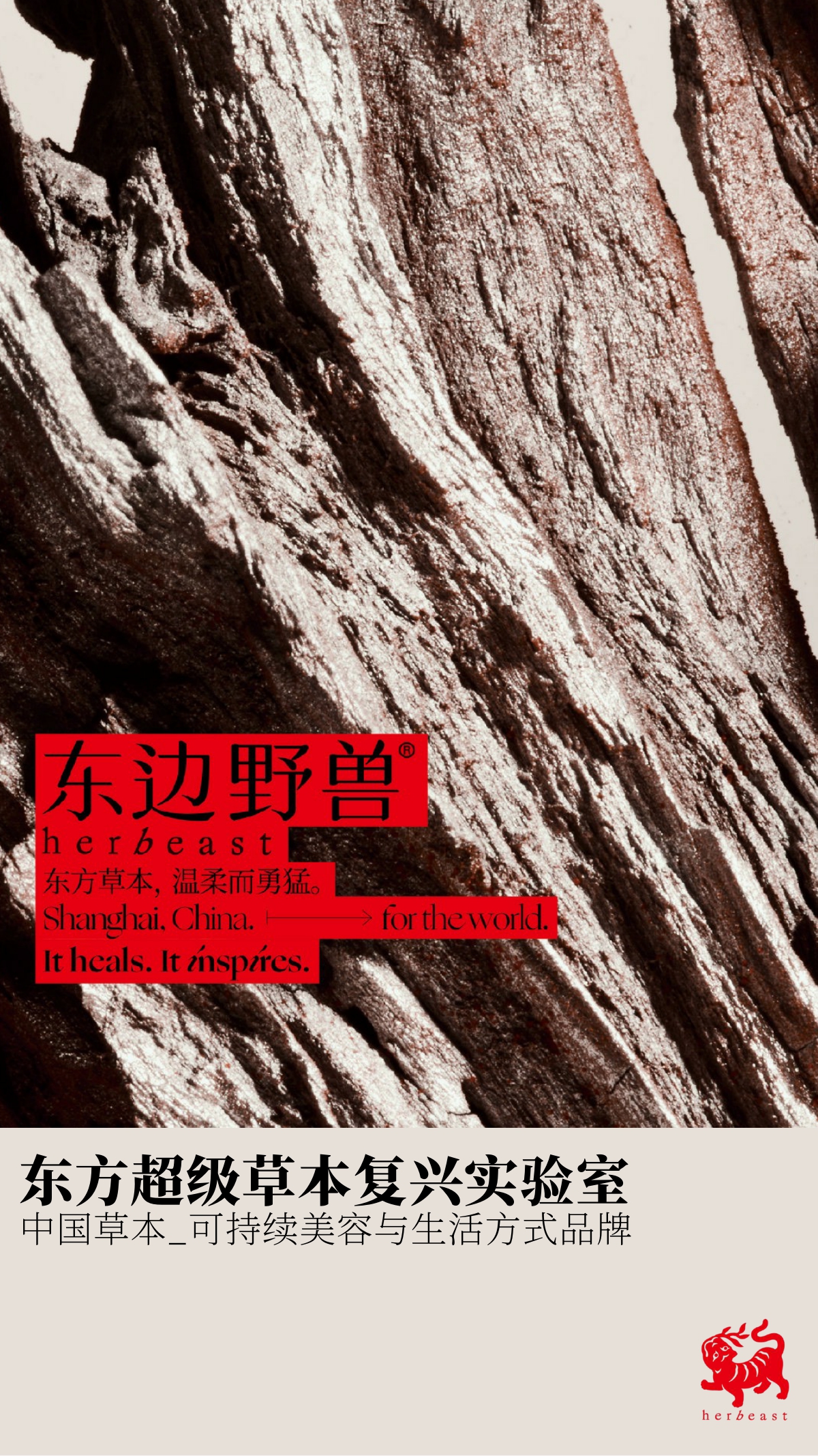 东边野兽BrandBook.pdf