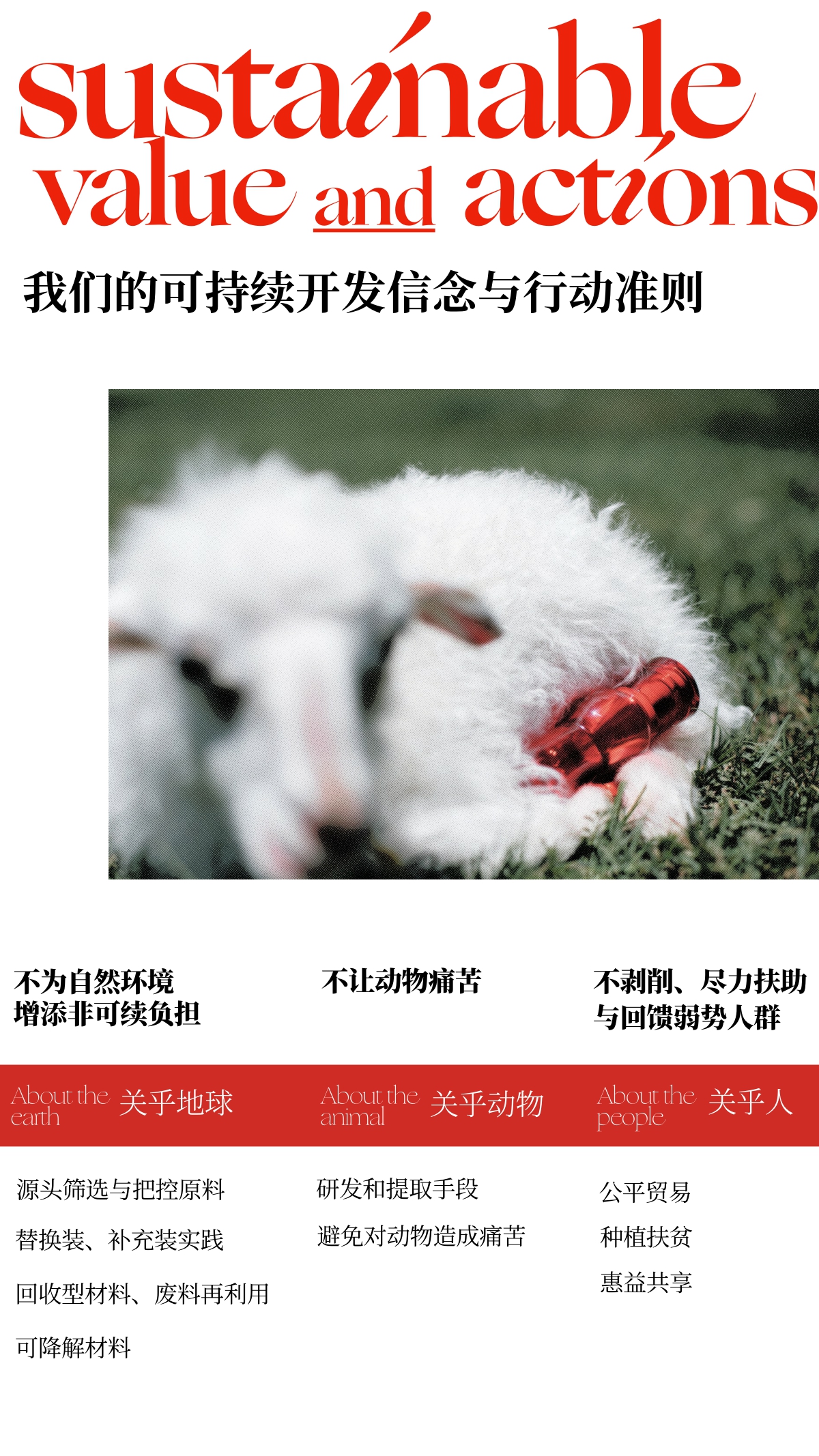 东边野兽BrandBook.pdf