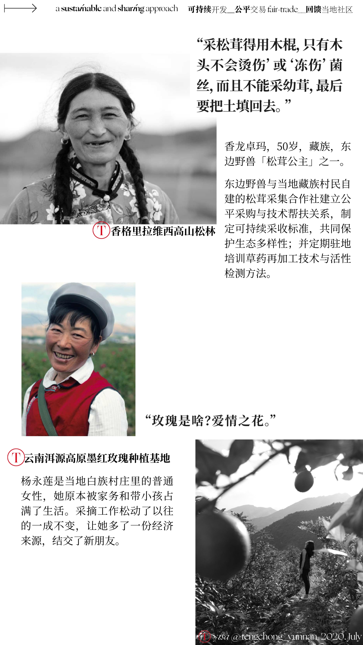 东边野兽BrandBook.pdf