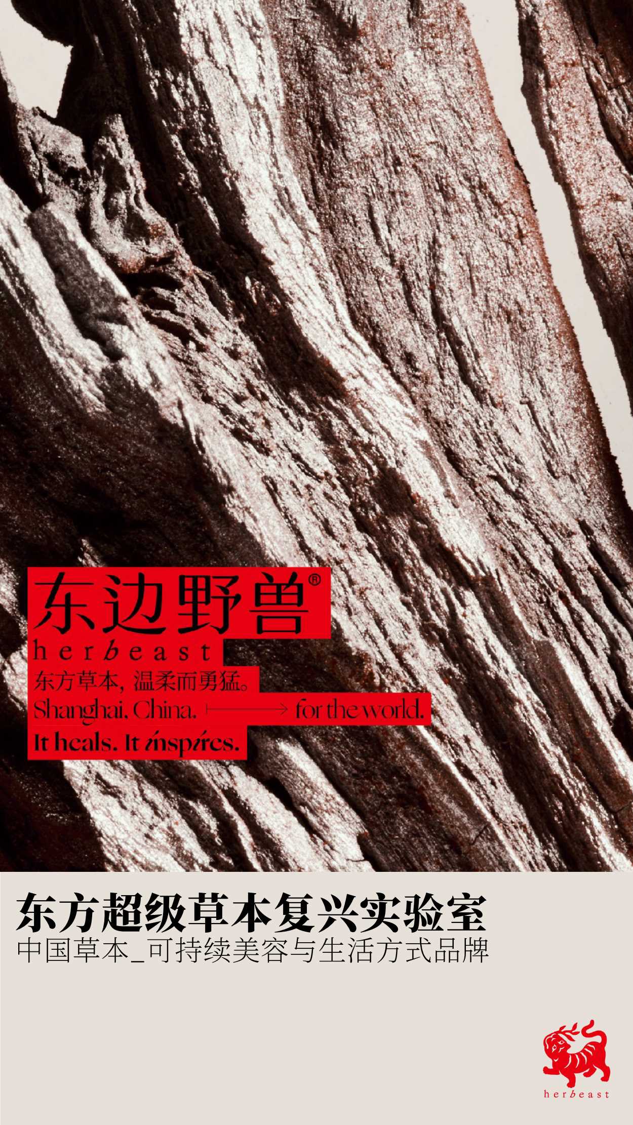 东边野兽BrandBook.pdf