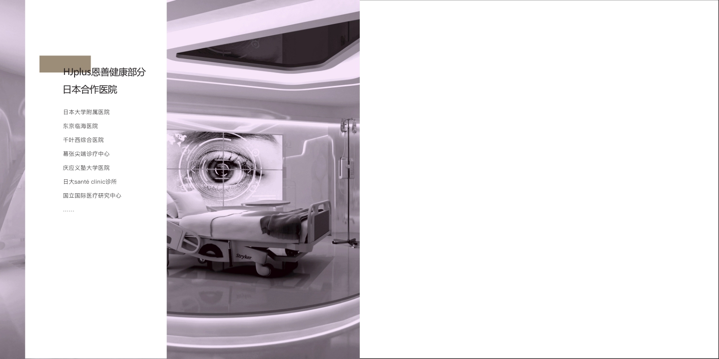 医美大健康品牌手册精简版-日本医美健康公司.pdf