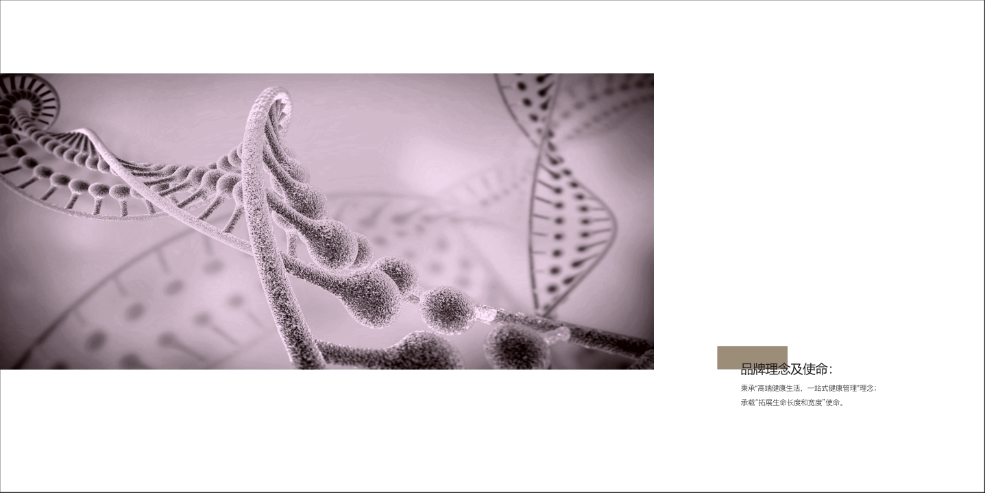 医美大健康品牌手册精简版-日本医美健康公司.pdf