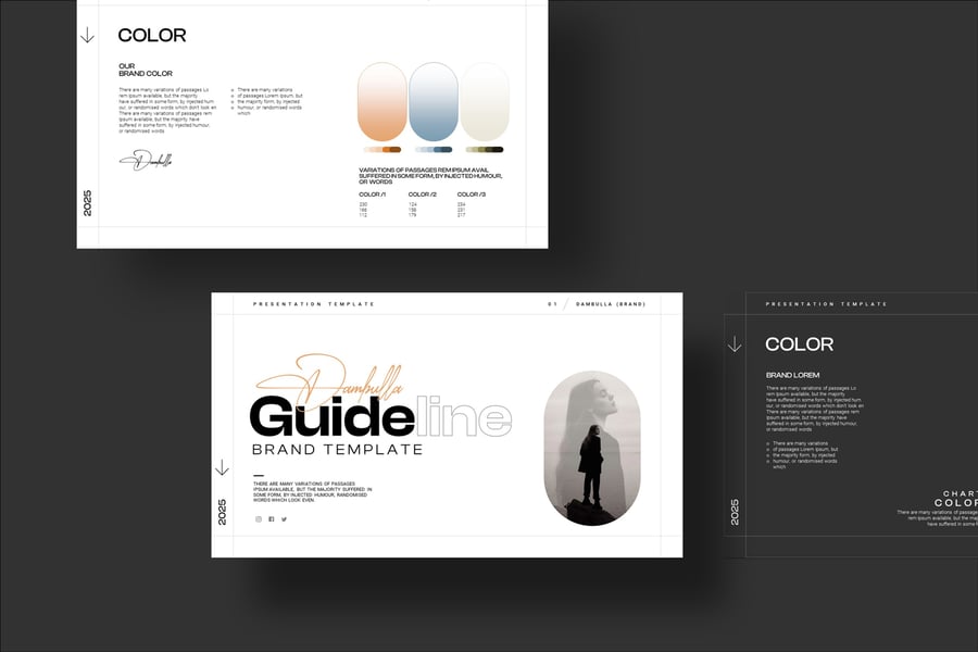 品牌指南PPT模版 (PPTX)
