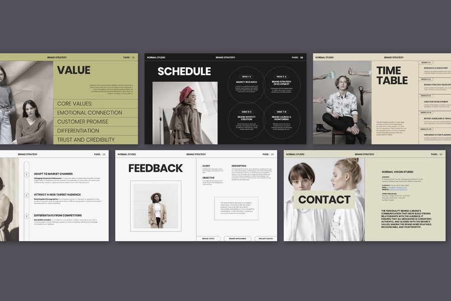 正常品牌策略|微软幻灯片软件PPT模版 (PPTX)