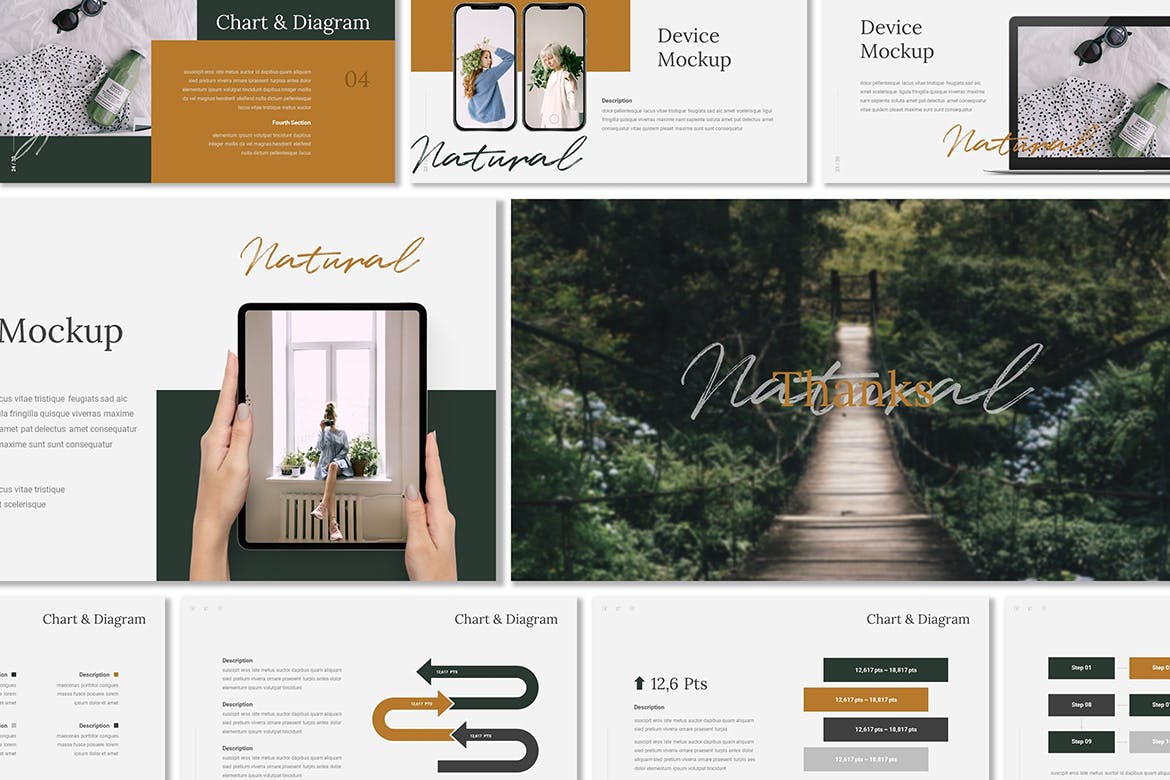 自然内容介绍的PPT模板下载（PPTX）