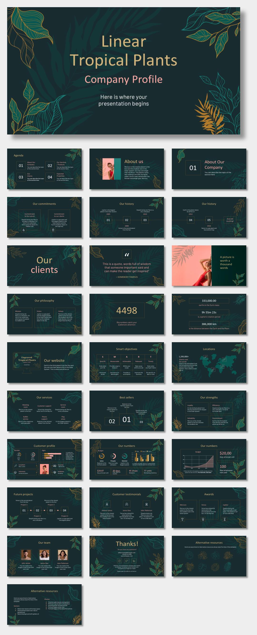 绿色植物绿叶文艺风PPT模板