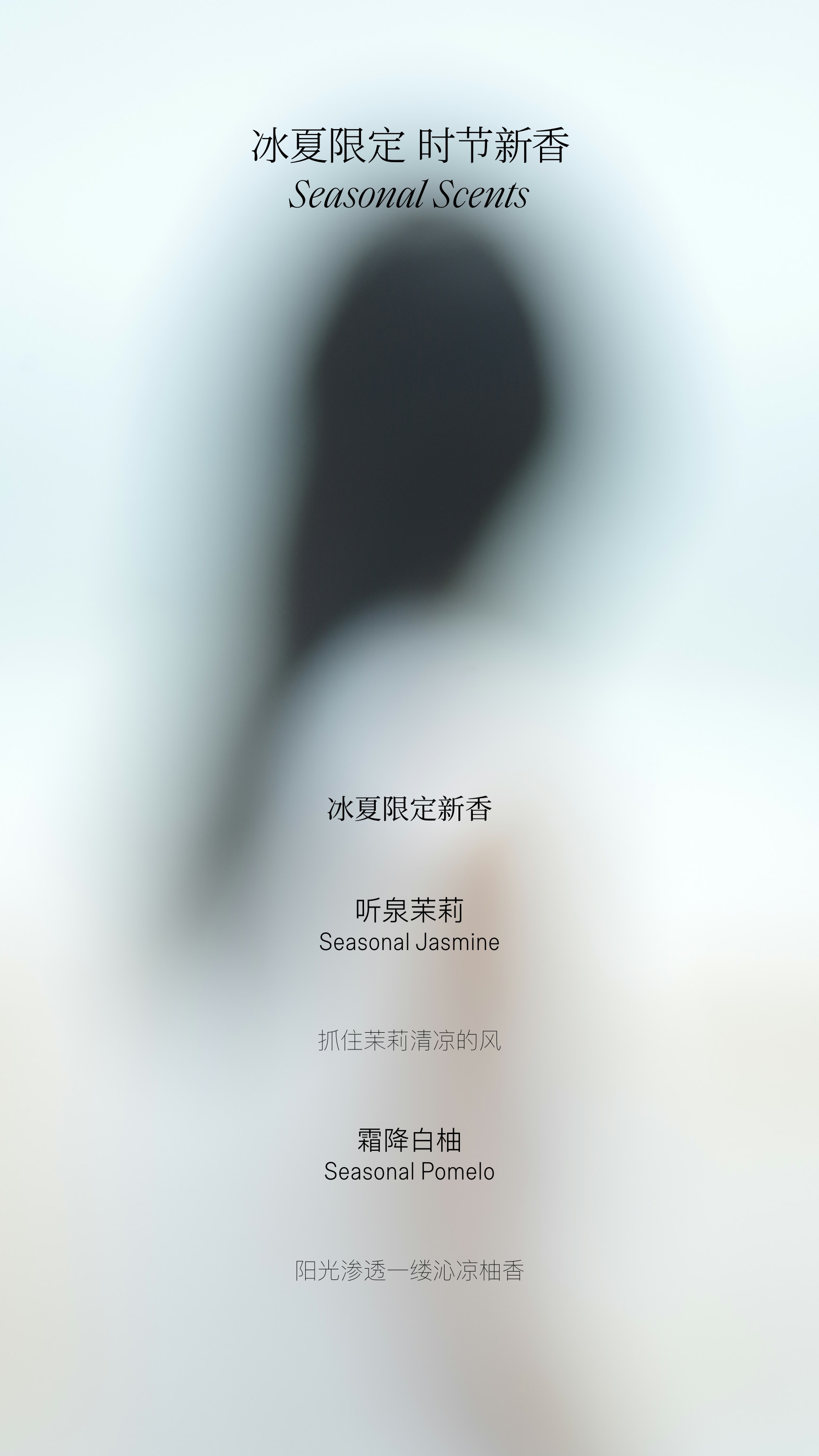 2024冰夏香氛产品手册.pdf