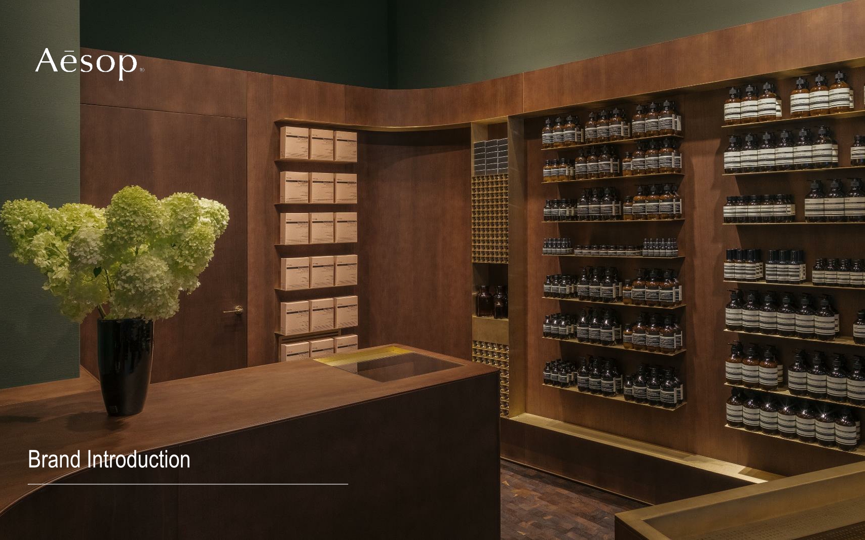 Aesop伊索+品牌手册.pdf