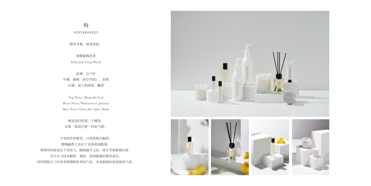 UTTORI 品牌+产品目录.pdf