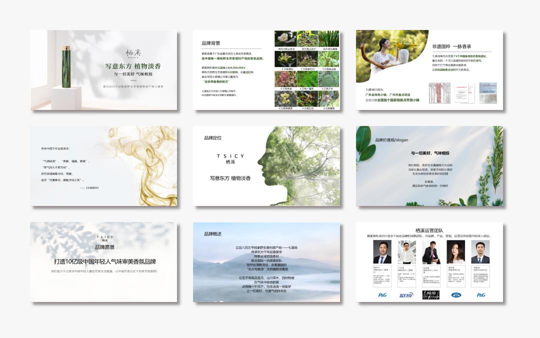 栖溪品牌介绍.pptx