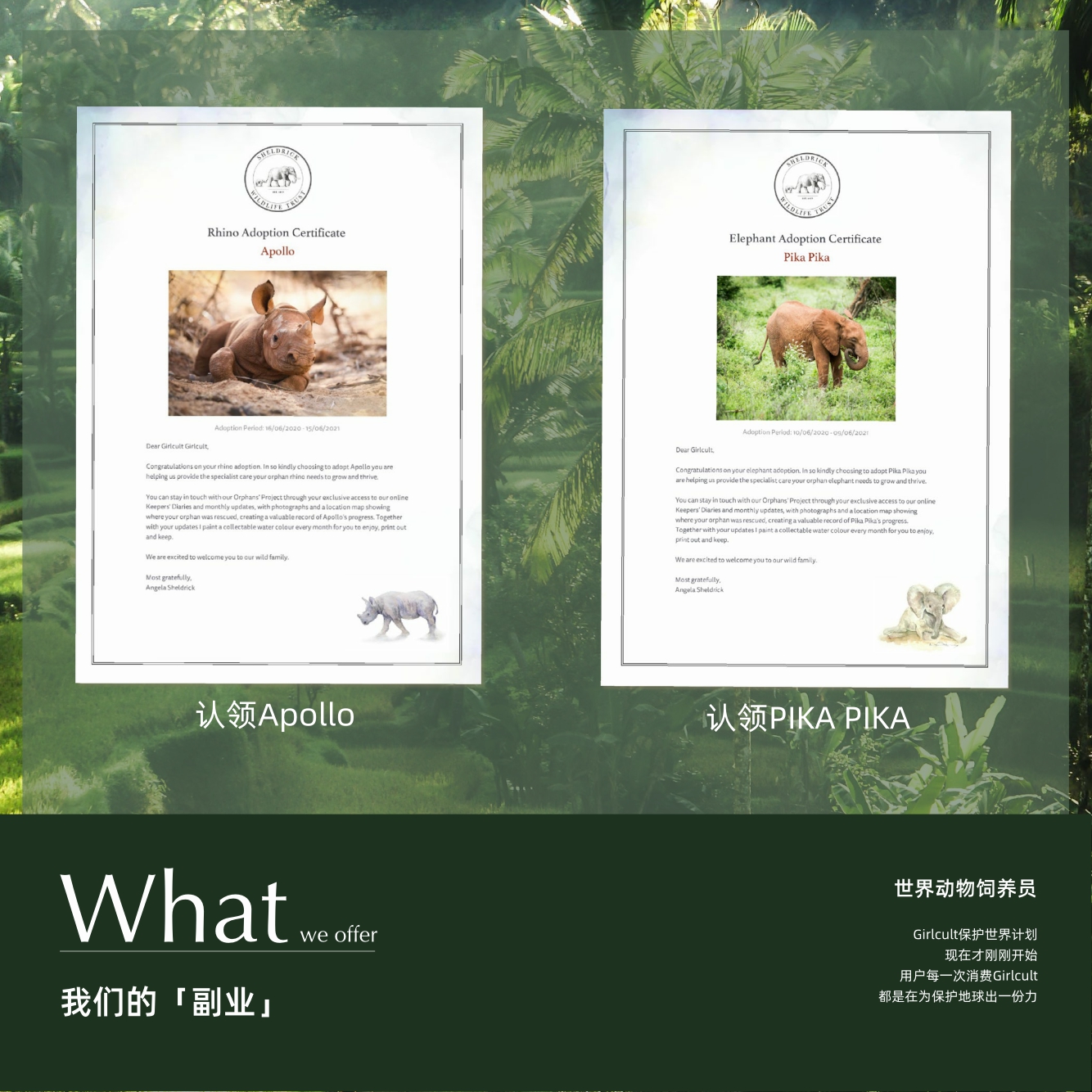 GIRLCULT品牌手册lookbook.pdf