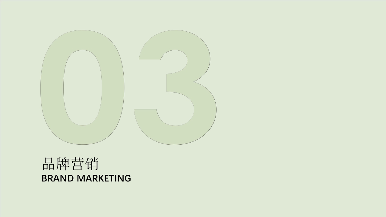 Gonim品牌手册PPT.pdf