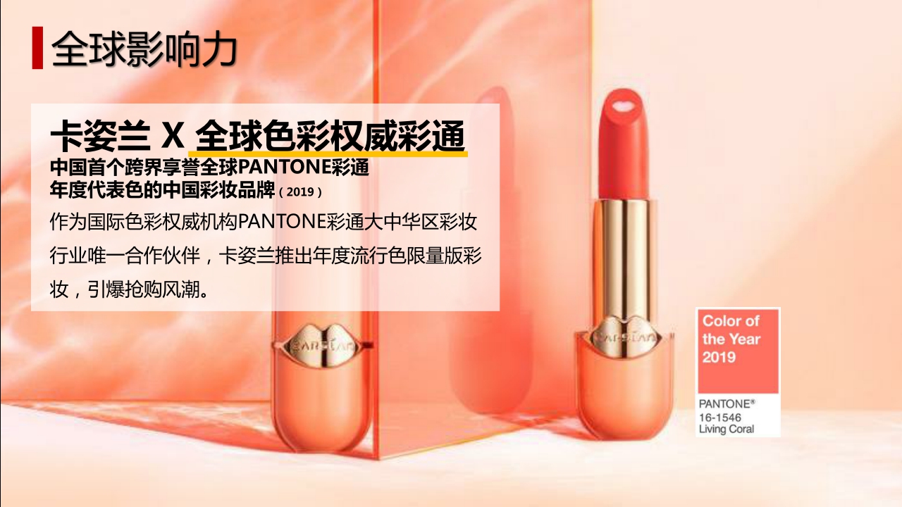 卡姿兰品牌手册-外发.pdf