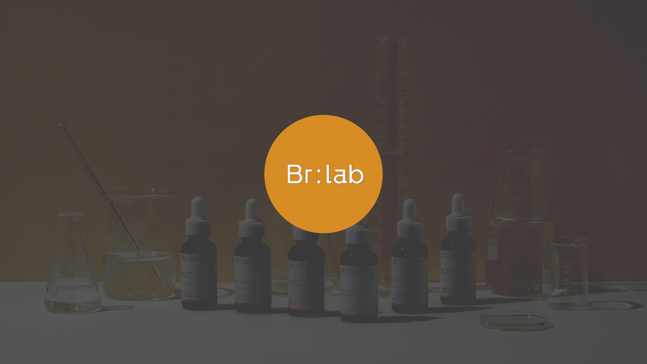 Brlab品牌手册.pdf