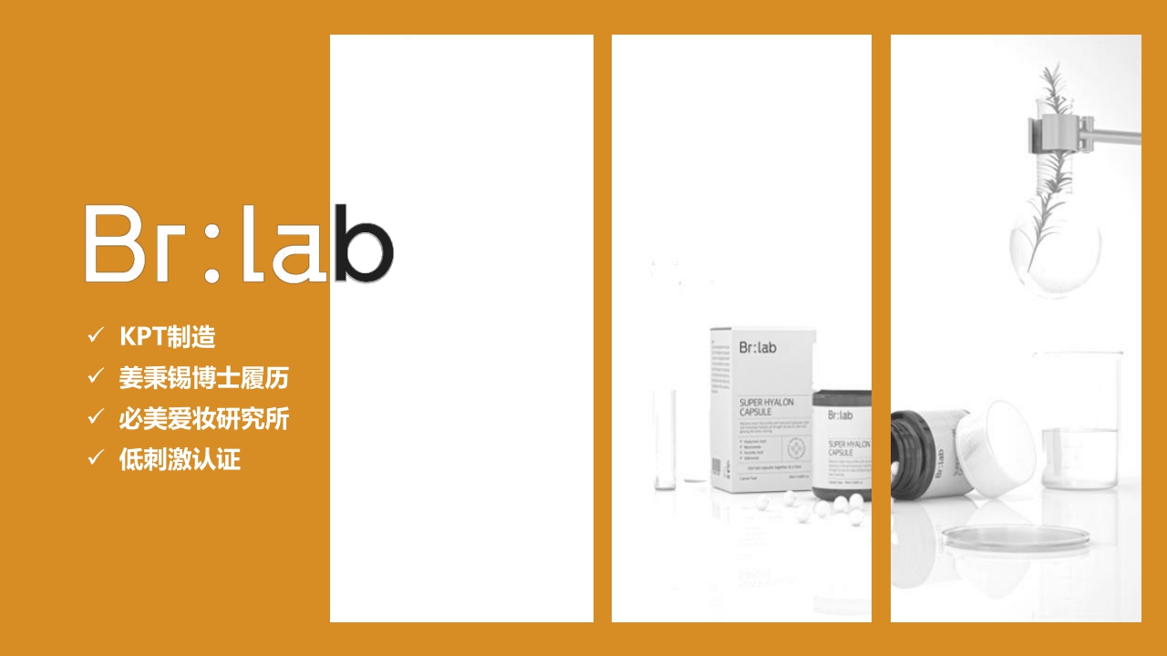 Brlab品牌手册.pdf