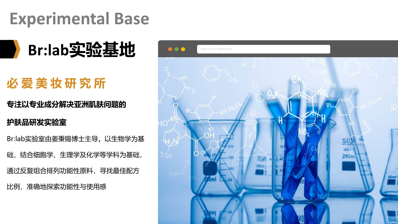 Brlab品牌手册.pdf