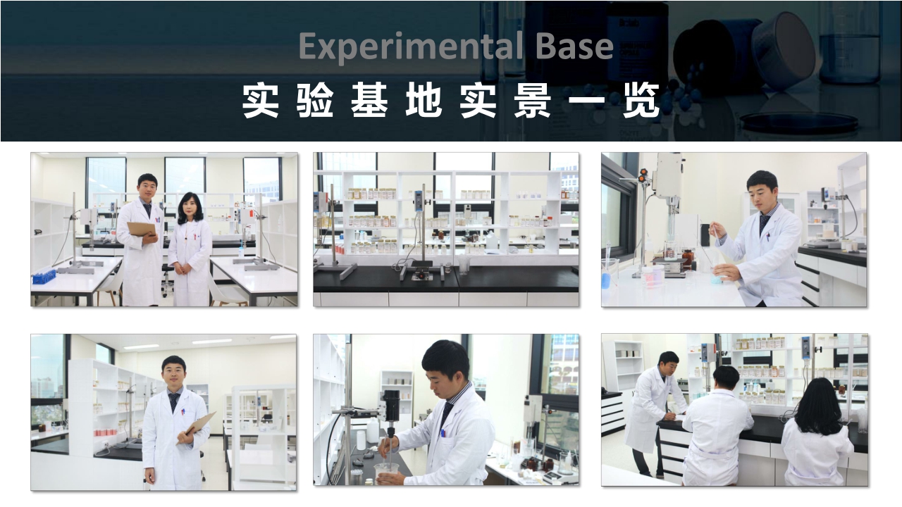 Brlab品牌手册.pdf