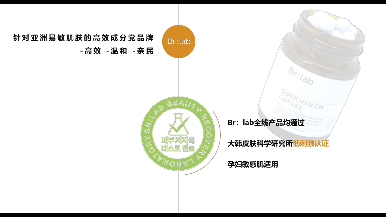 Brlab品牌手册.pdf