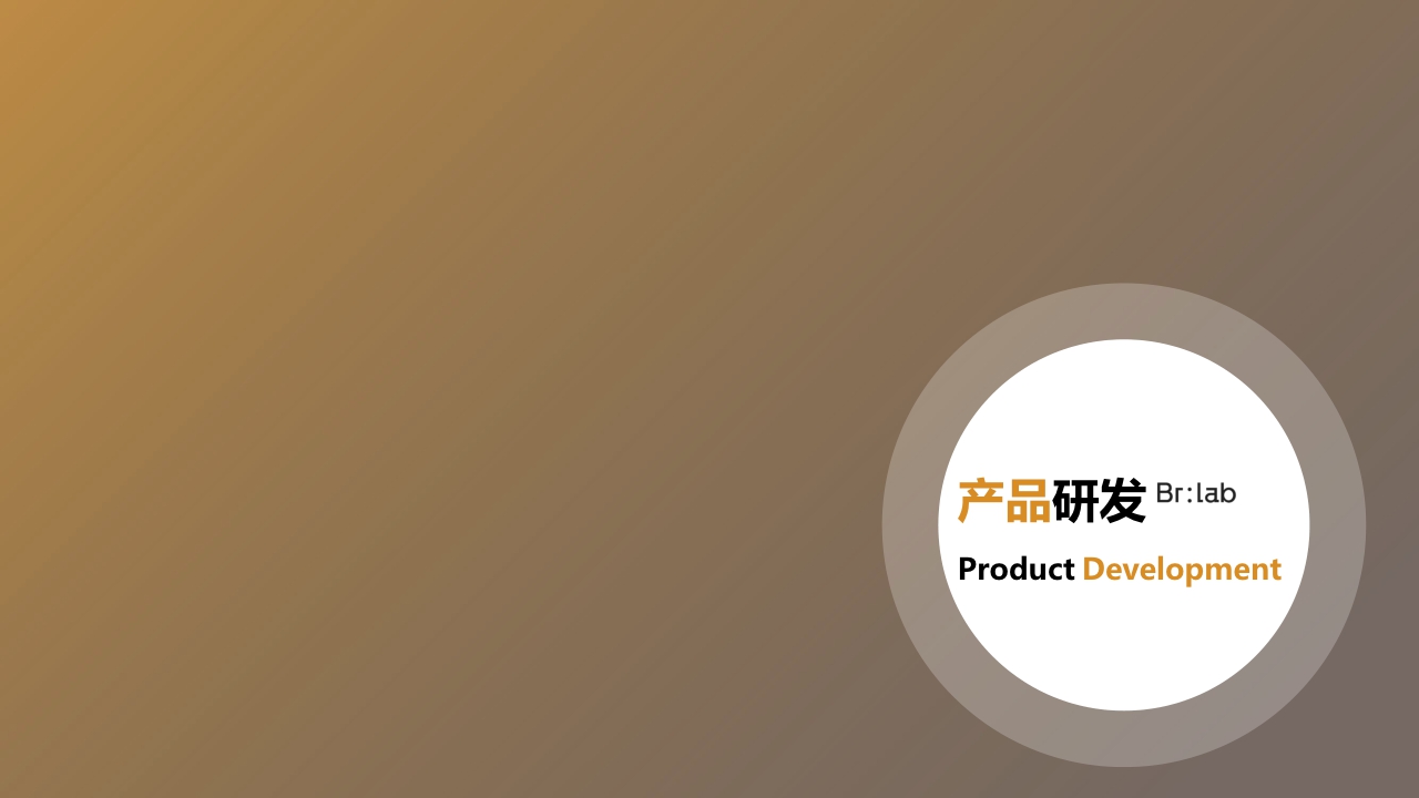 Brlab品牌手册.pdf