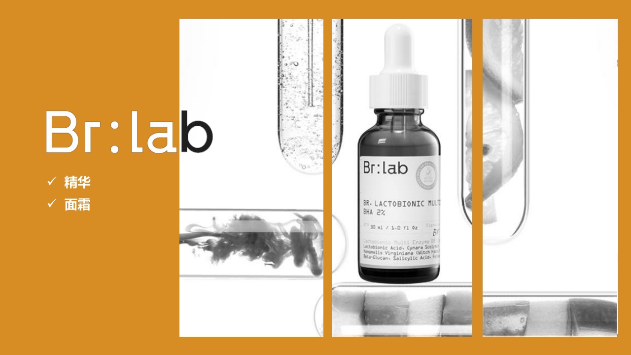 Brlab品牌手册.pdf