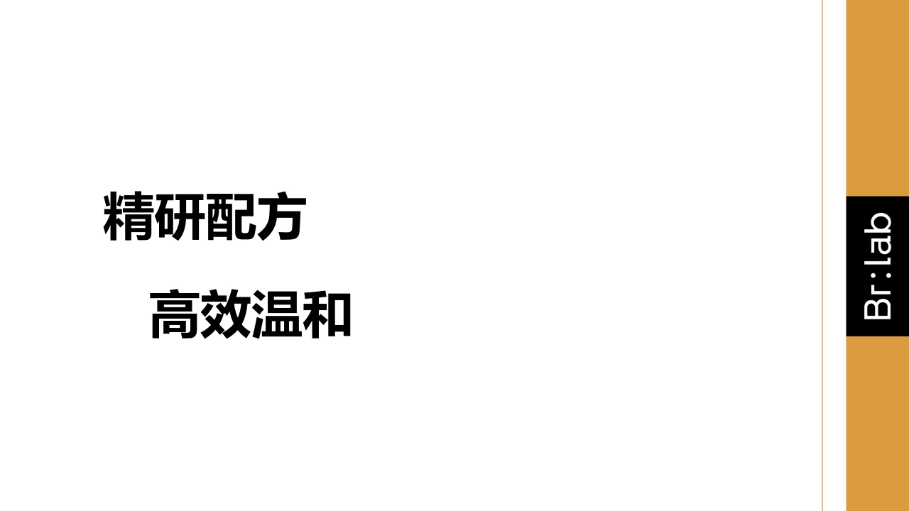 Brlab品牌手册.pdf