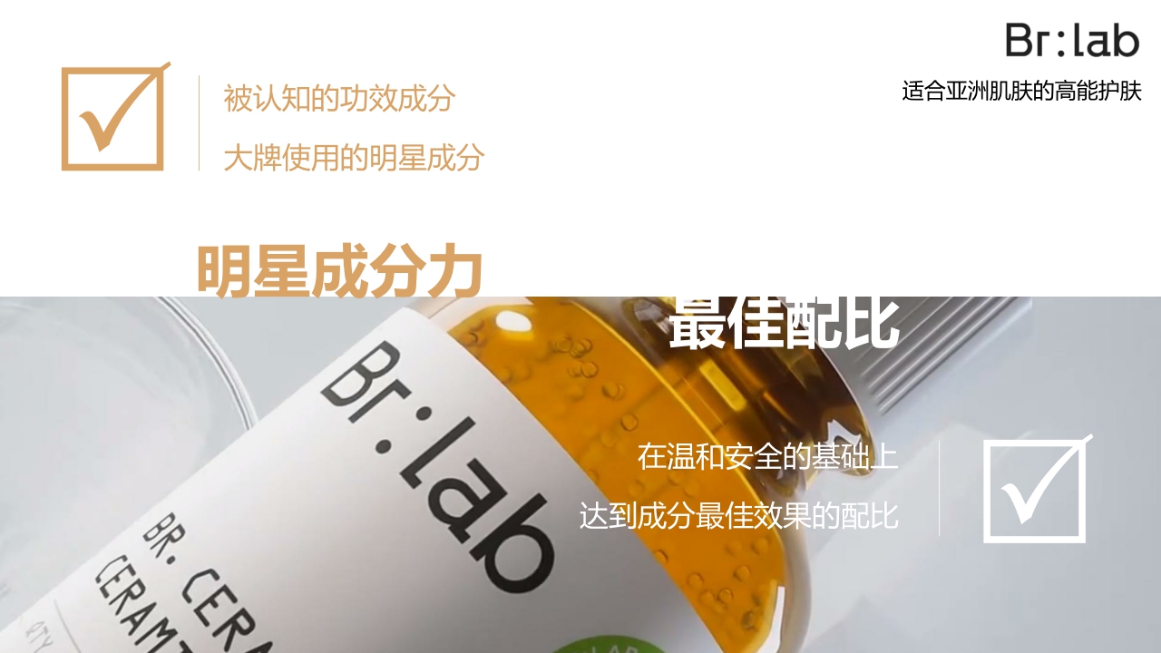 Brlab品牌手册.pdf