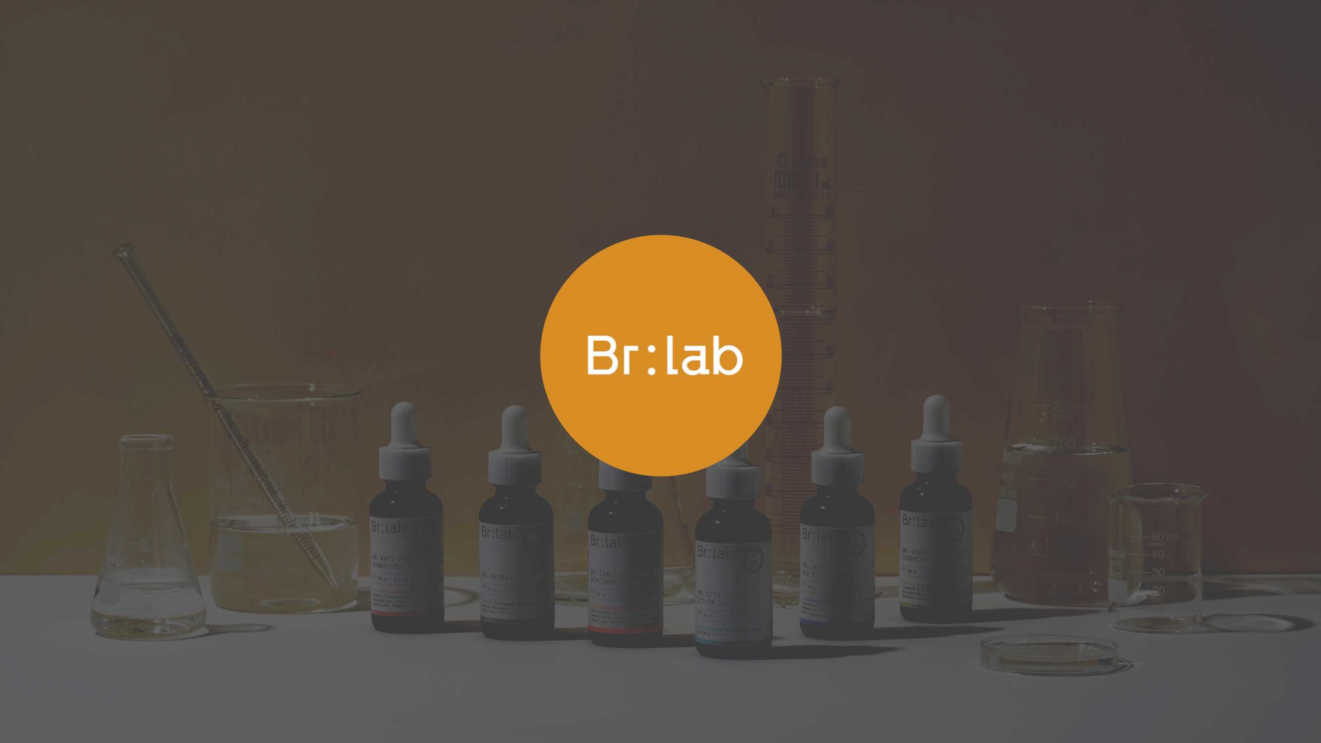 Brlab品牌手册.pdf