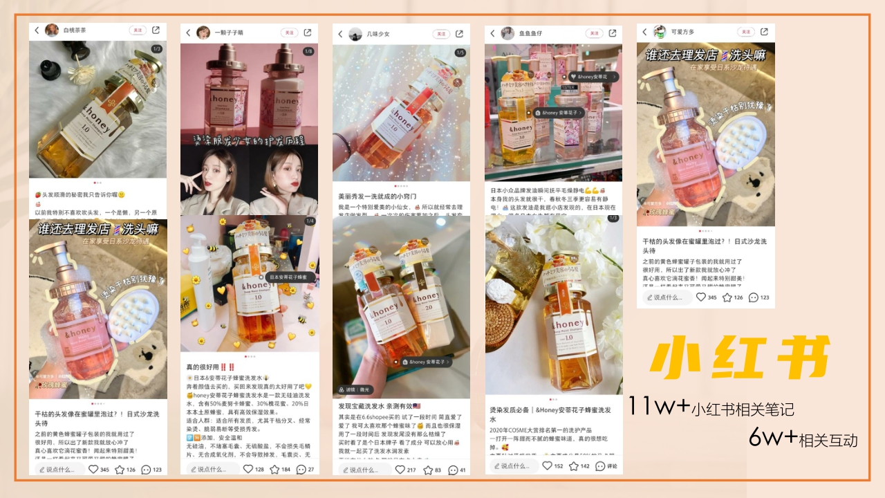 Honey品牌资料.pdf