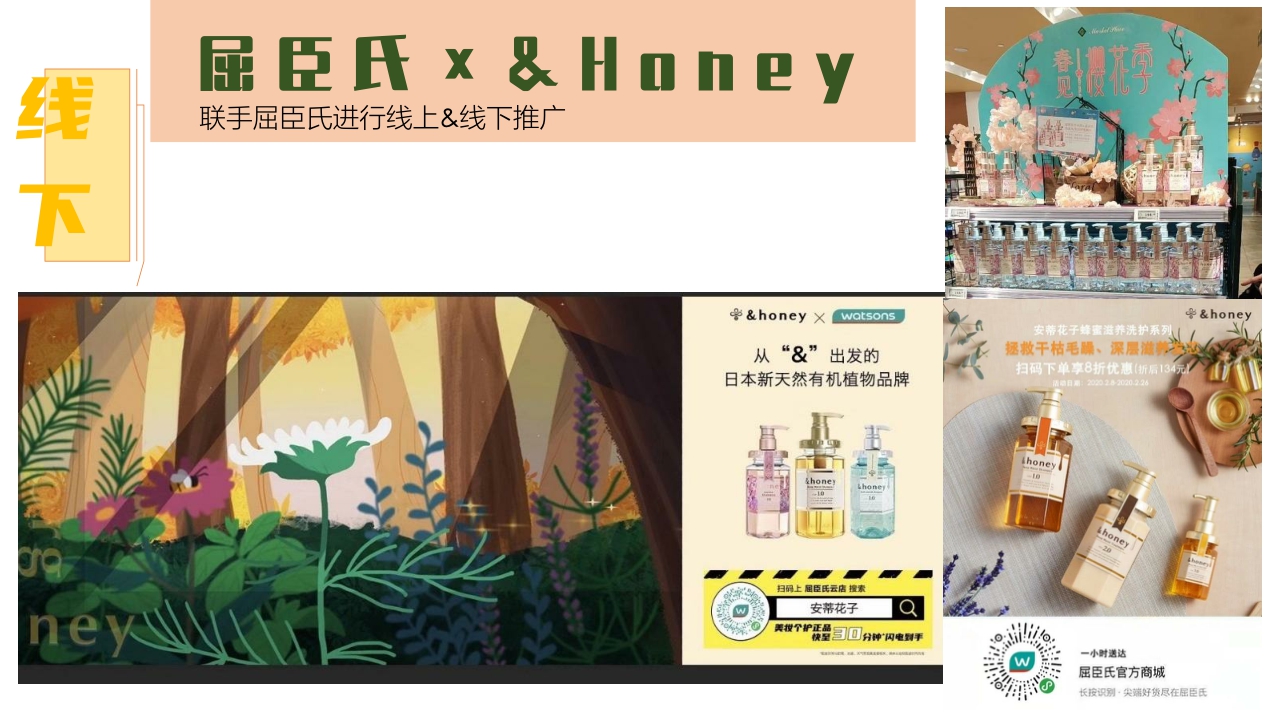 Honey品牌资料.pdf