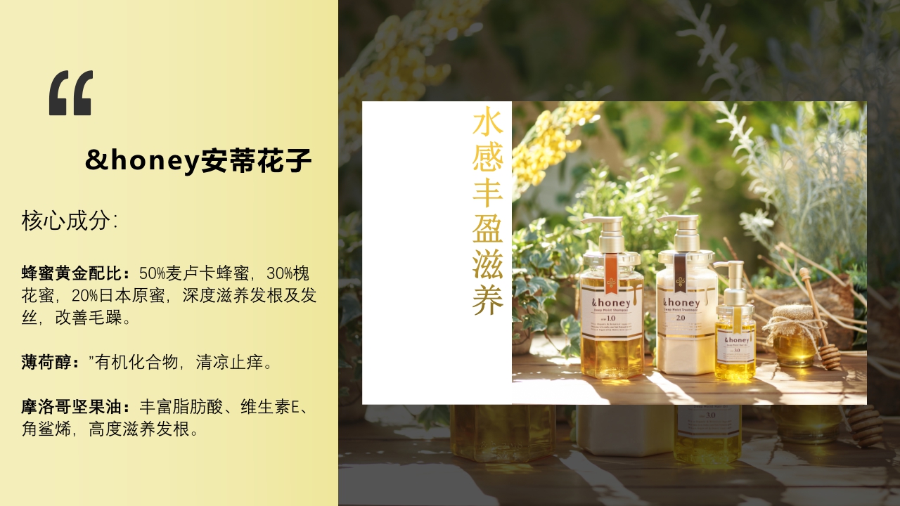 Honey品牌资料.pdf