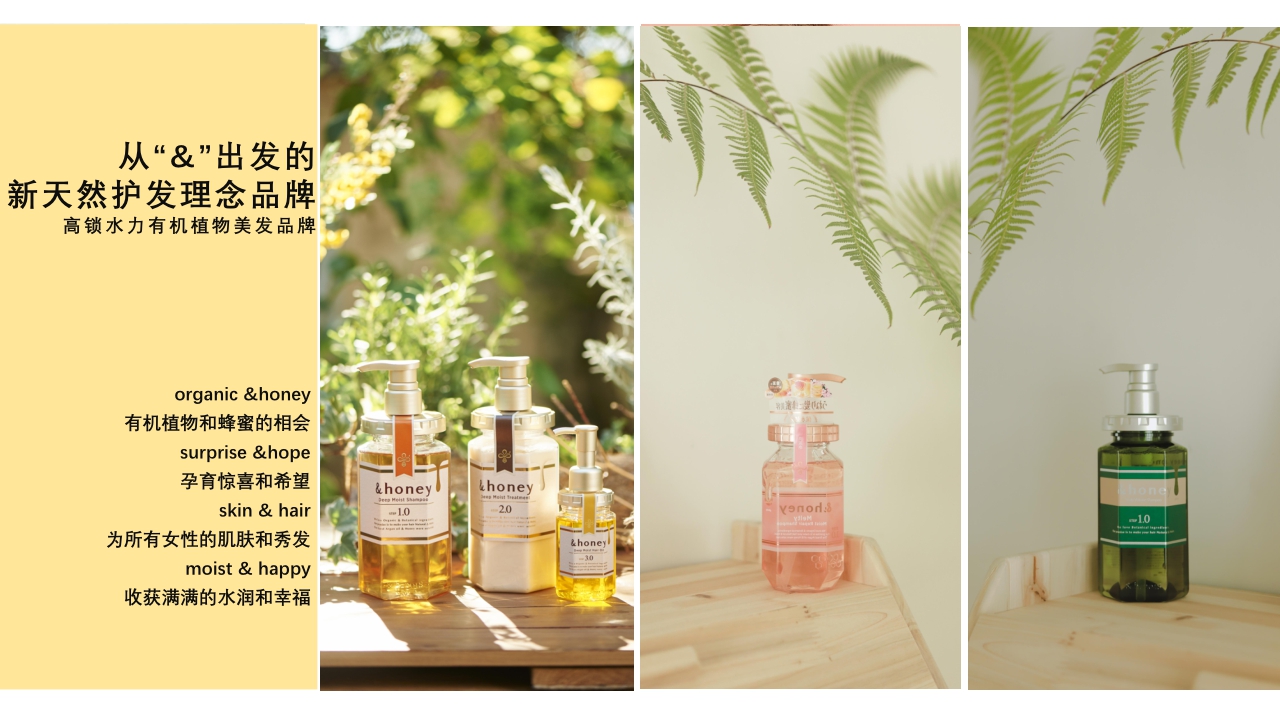 Honey品牌资料.pdf