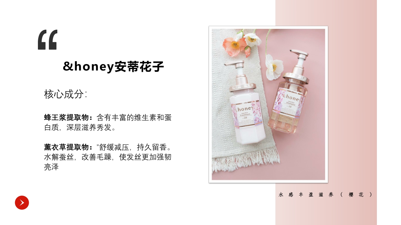 Honey品牌资料.pdf