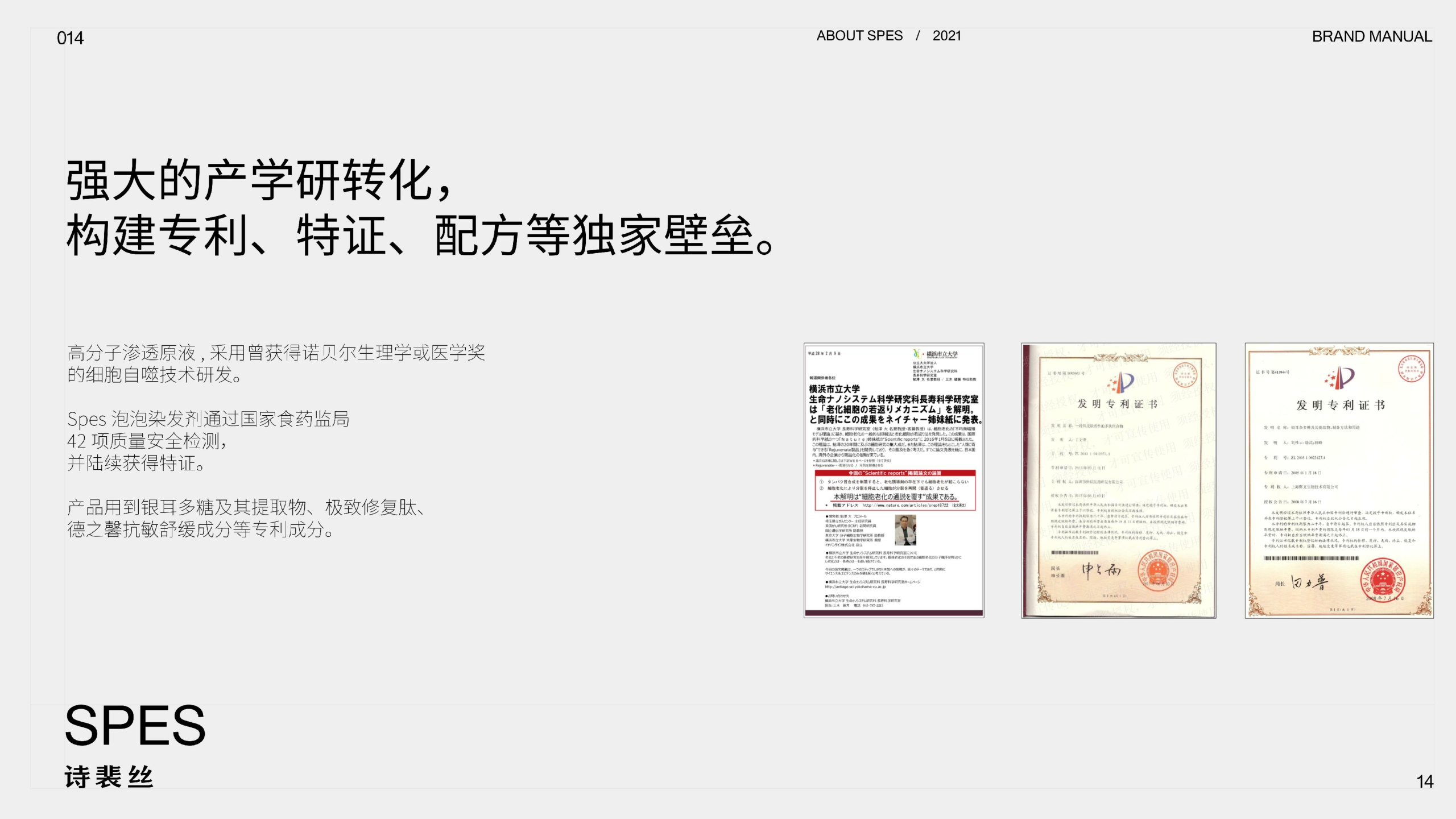 Spes品牌手册.pdf