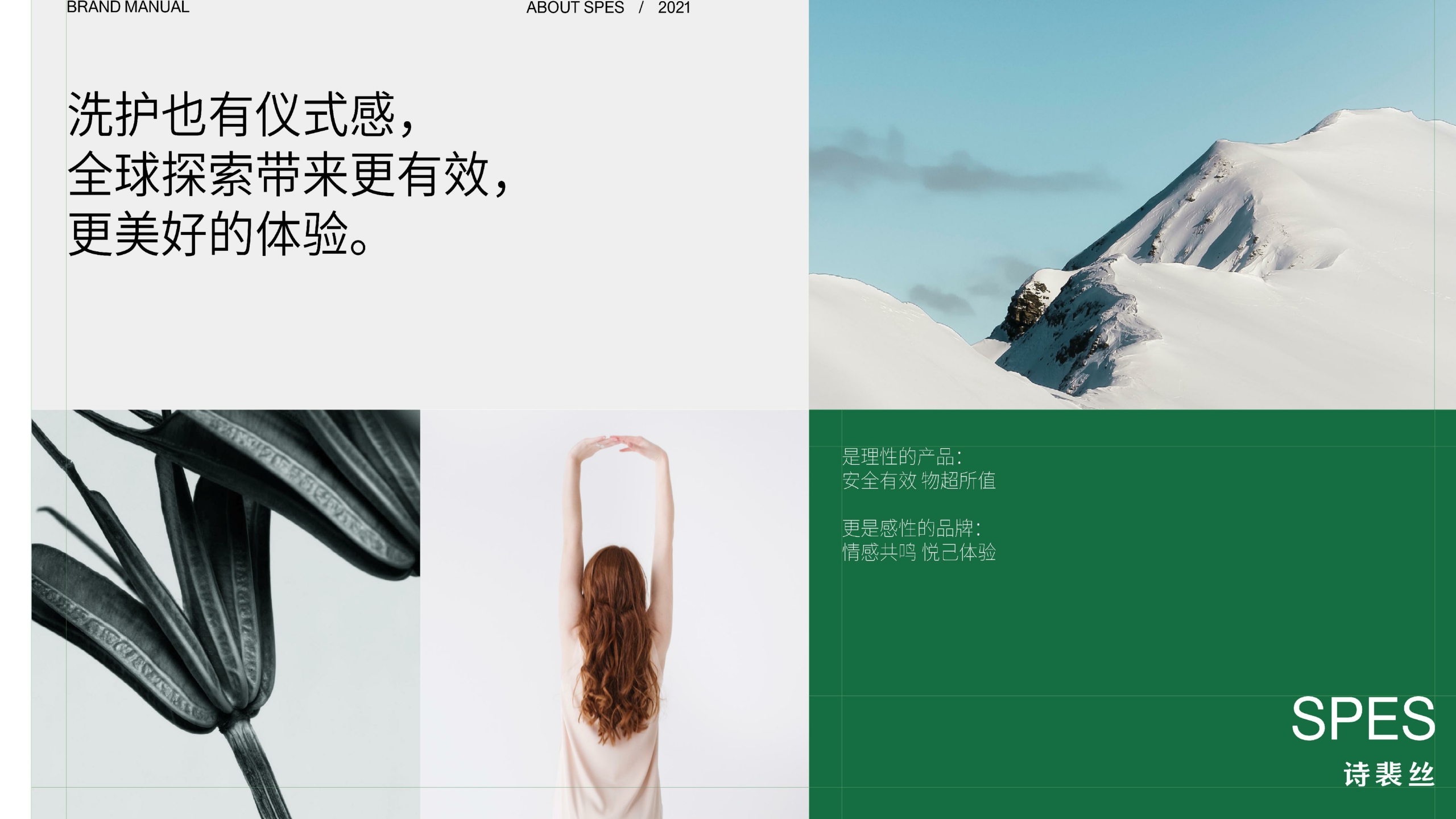 Spes品牌手册.pdf