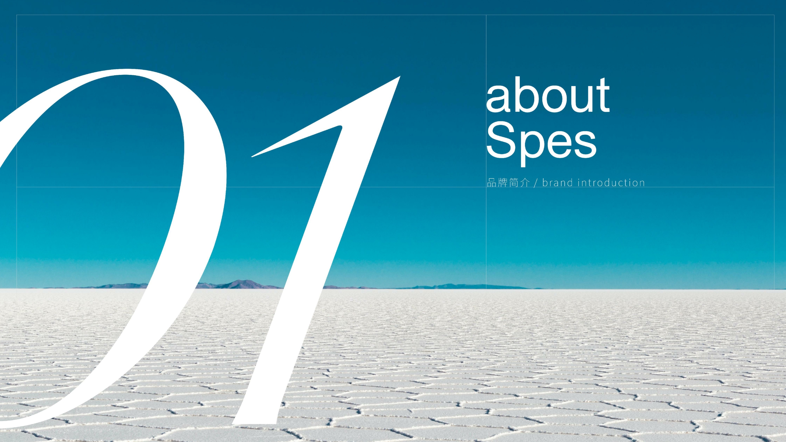 Spes品牌手册.pdf