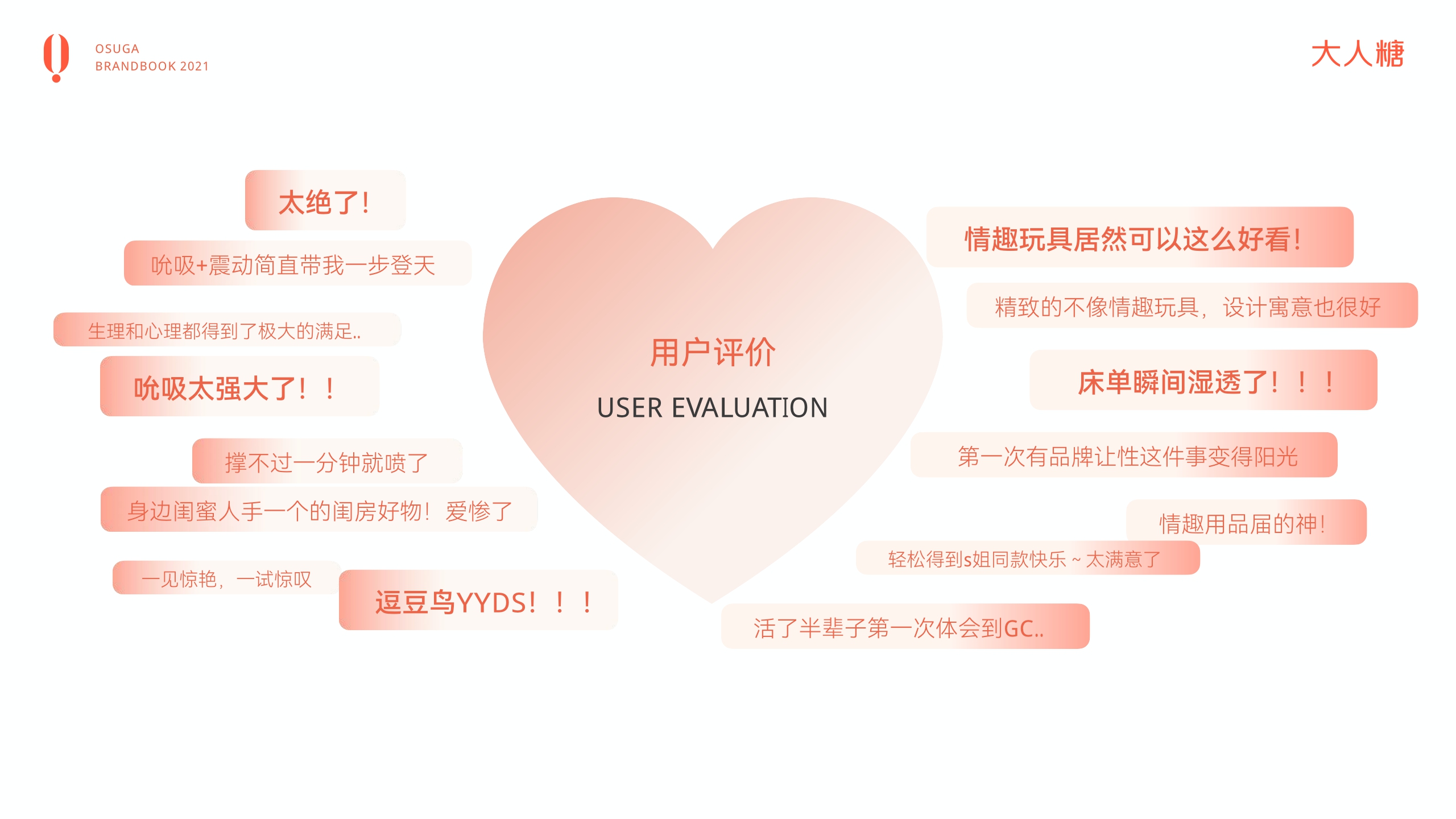 大人糖品牌手册.pdf