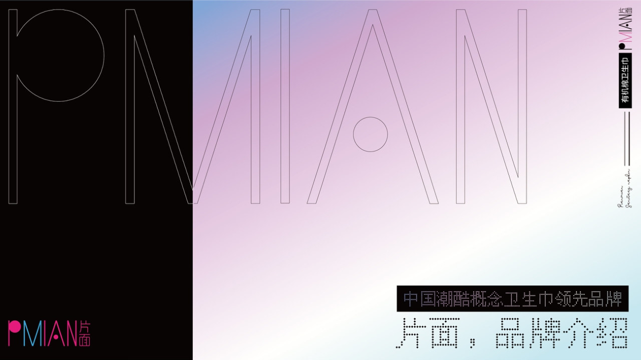 片面品牌介绍.pdf