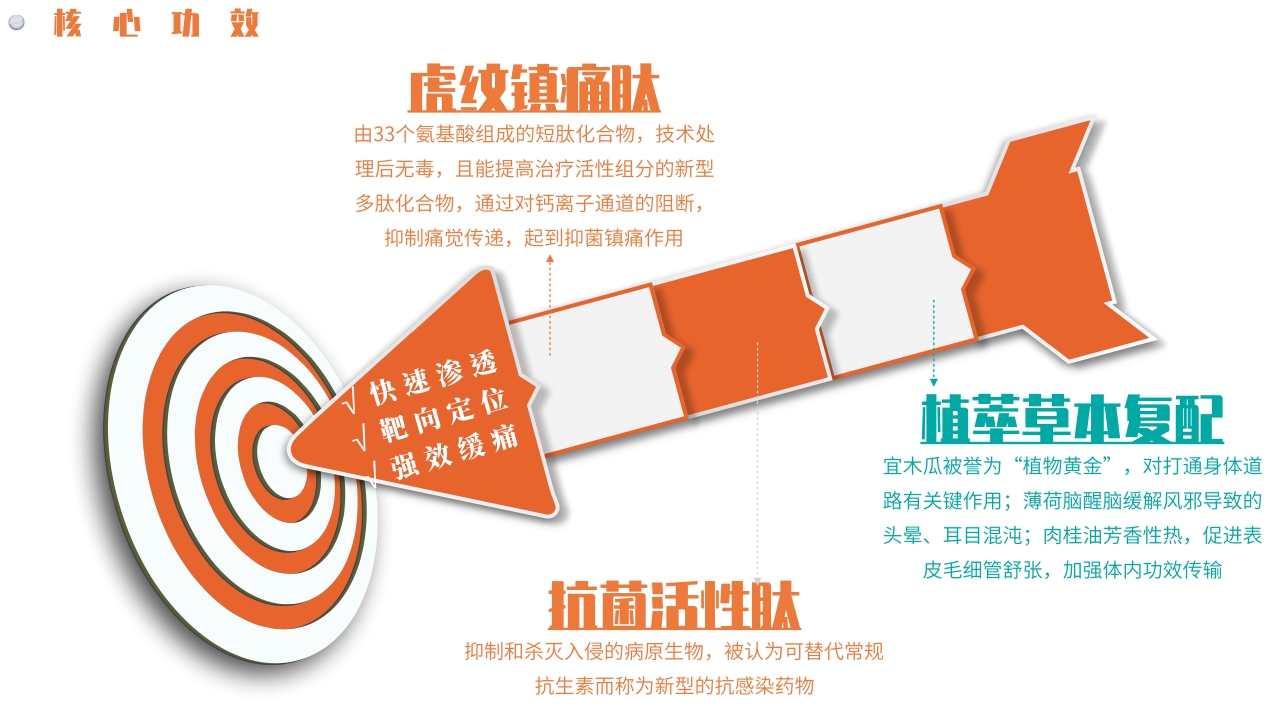 品牌手册丨轻中医 新健康 蛛王品牌手册.pdf