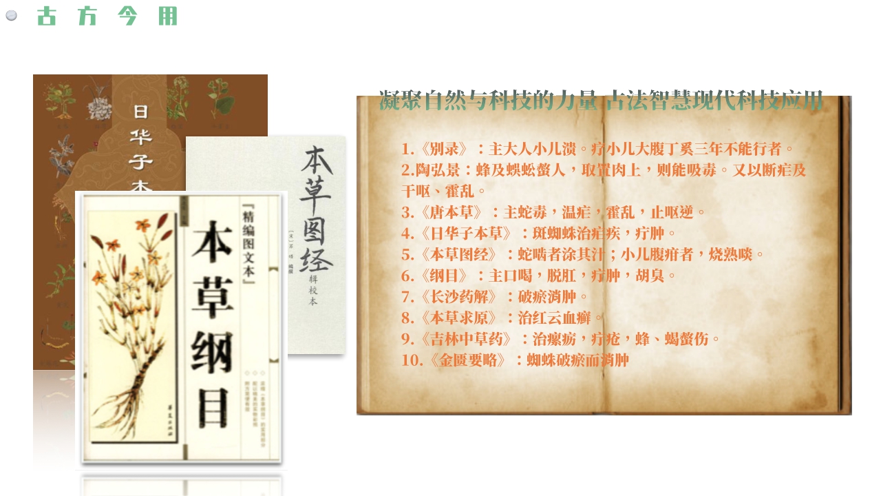 品牌手册丨轻中医 新健康 蛛王品牌手册.pdf