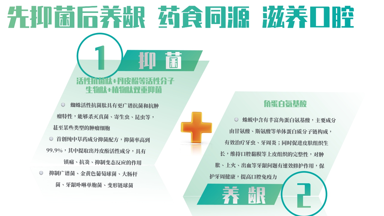 品牌手册丨轻中医 新健康 蛛王品牌手册.pdf